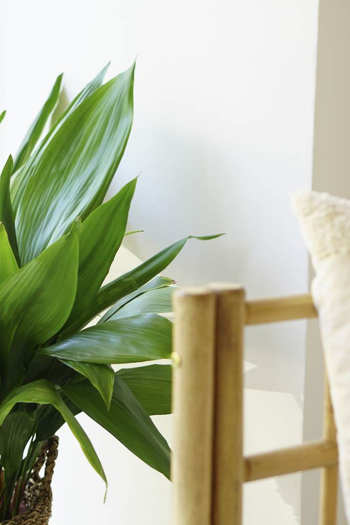 estudio yogami yoga almendralejo